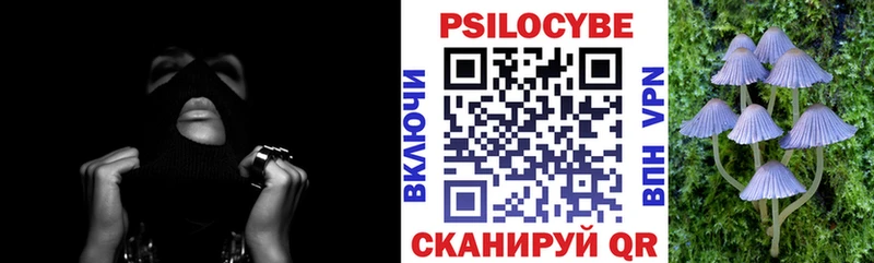 дарнет шоп  Вилюйск  Псилоцибиновые грибы Psilocybe 